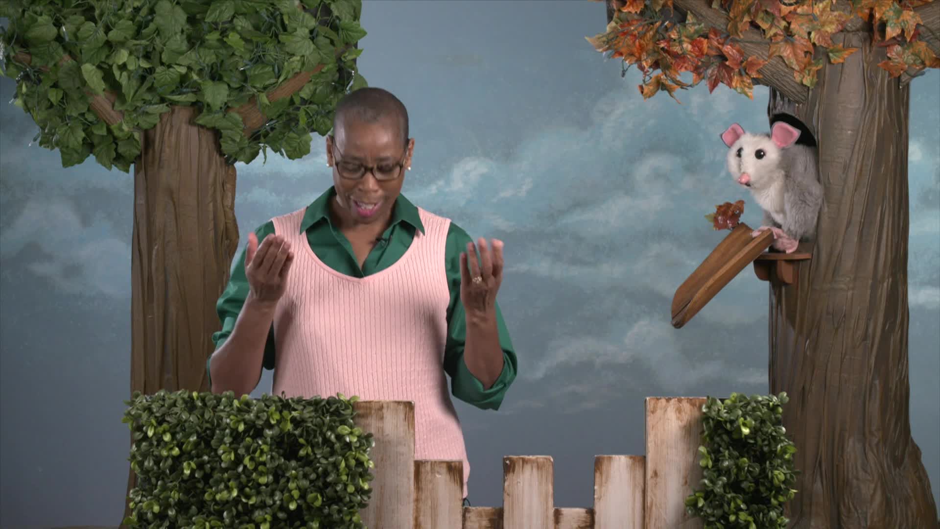 Thumbnail image for Look, Listen, and Learn - Awesome Possum