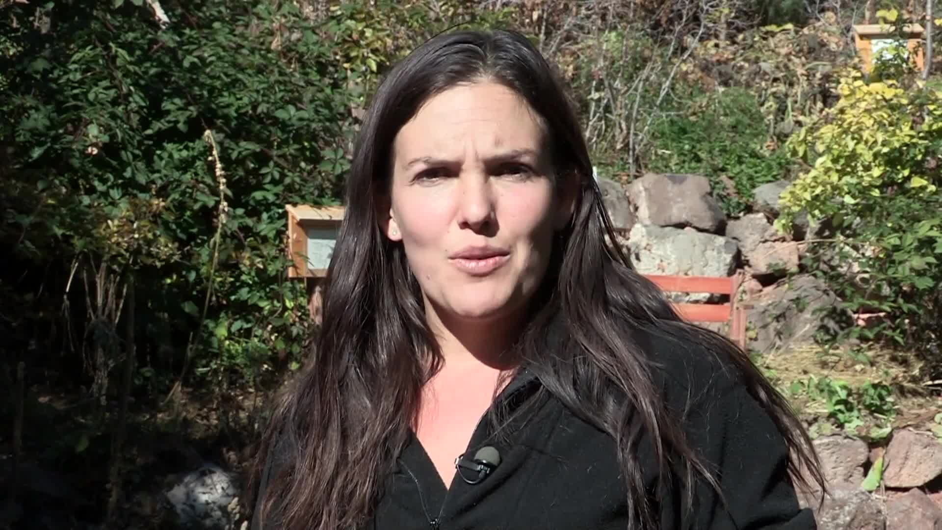 Thumbnail image for Grow UP! - Food Forest