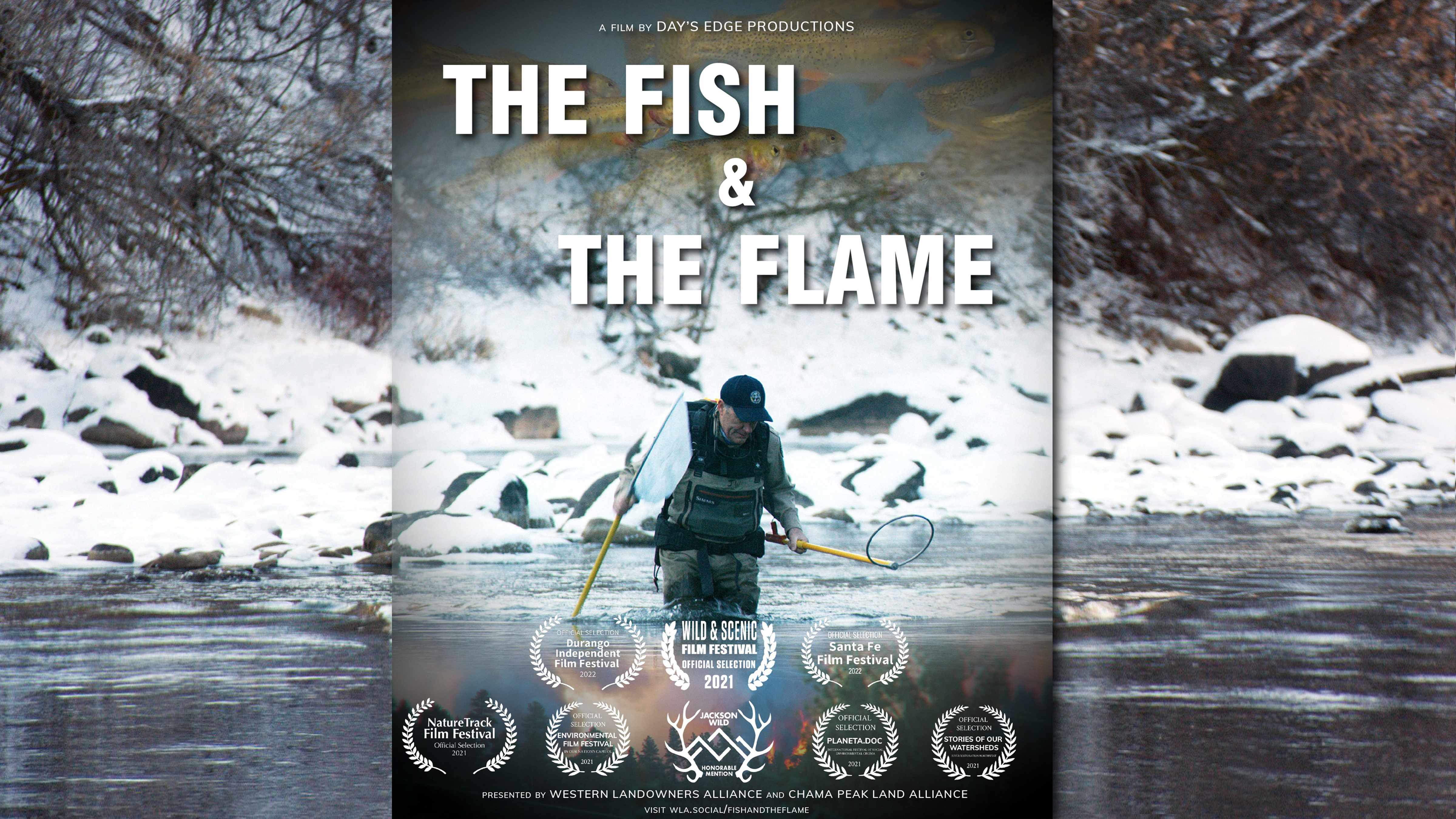 Thumbnail image for The Fish and The Flame