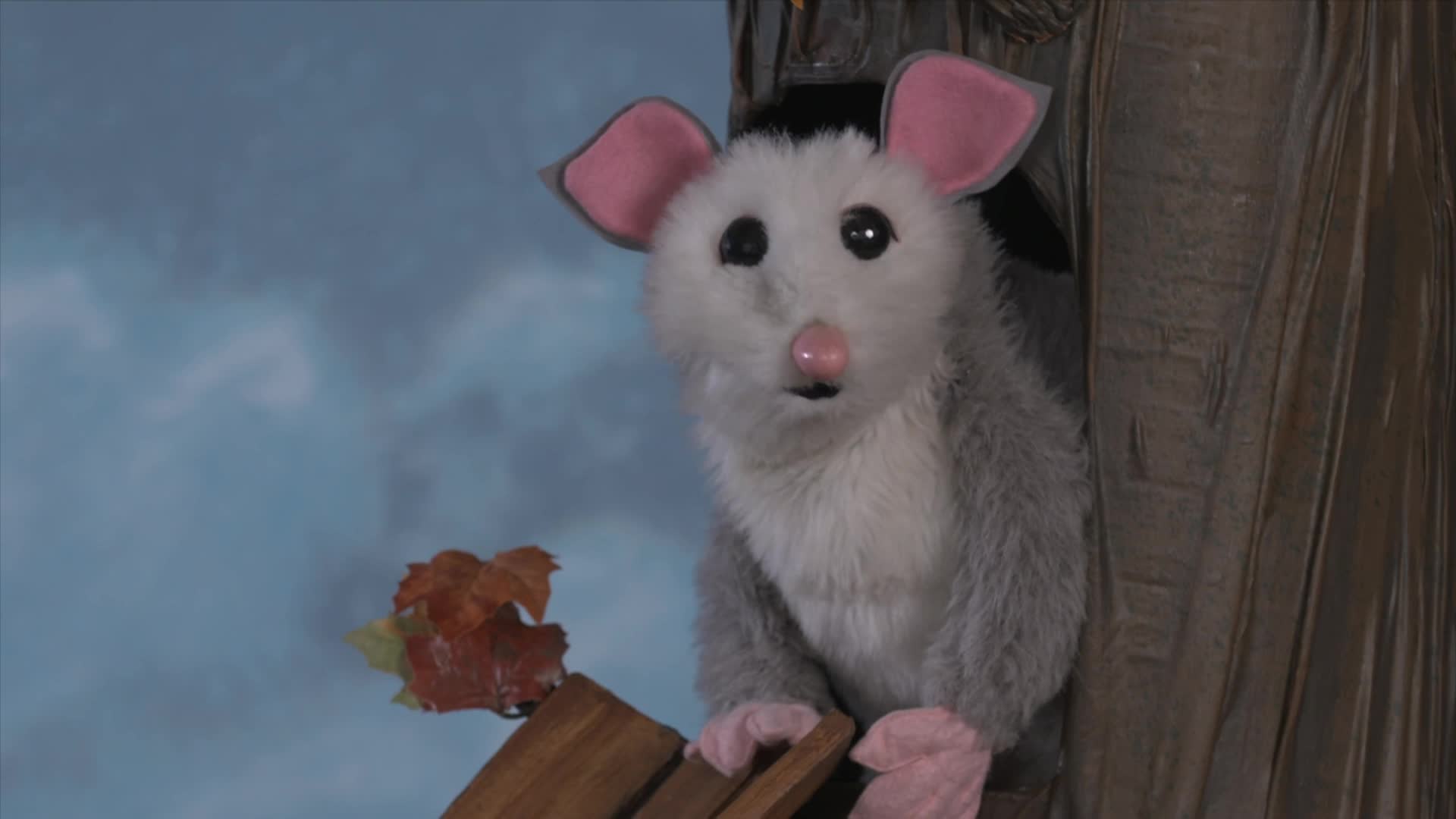 Thumbnail image for Look, Listen and Learn - Possum Finds His Solo
