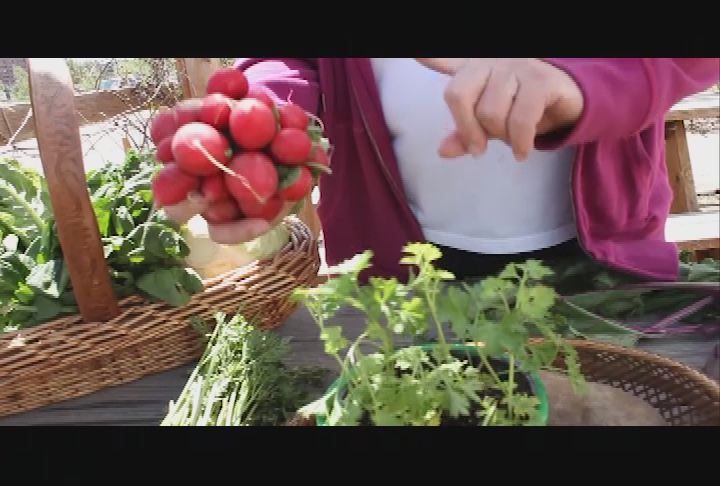Thumbnail image for Gardenting Power to the People