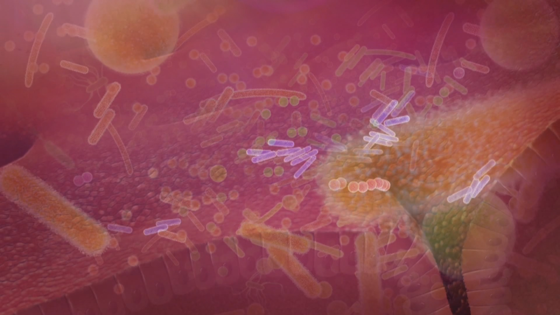 Thumbnail image for Medical Edge