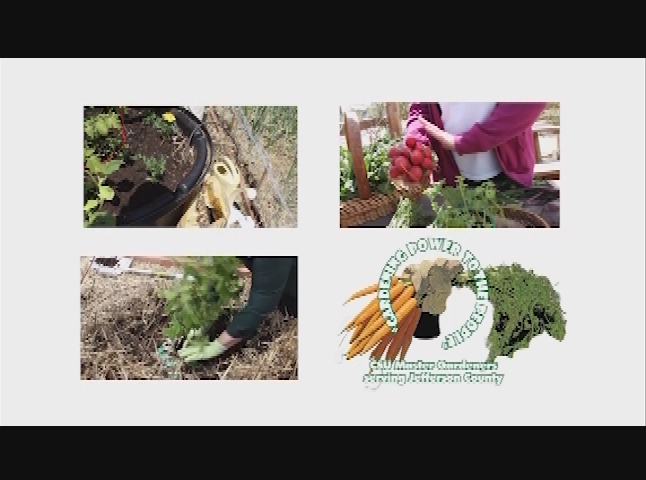 Thumbnail image for Gardening Power To The People