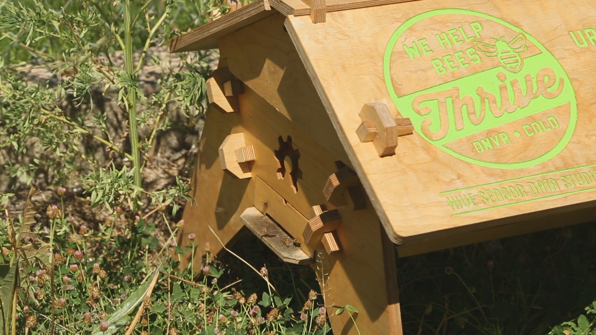 Thumbnail image for Connected Coloradoc