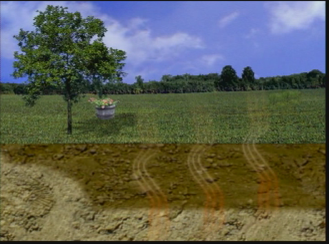 Thumbnail image for Radon: The Invisible Killer