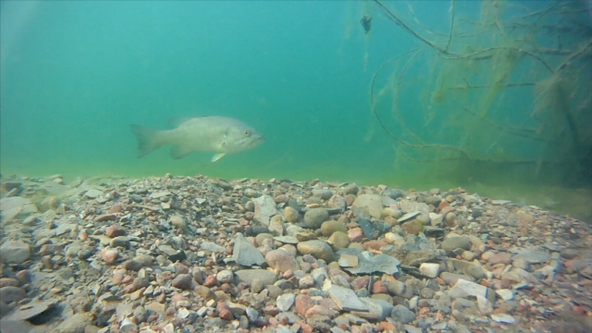 Thumbnail image for Fly Fishing Lake Pueblo State Park