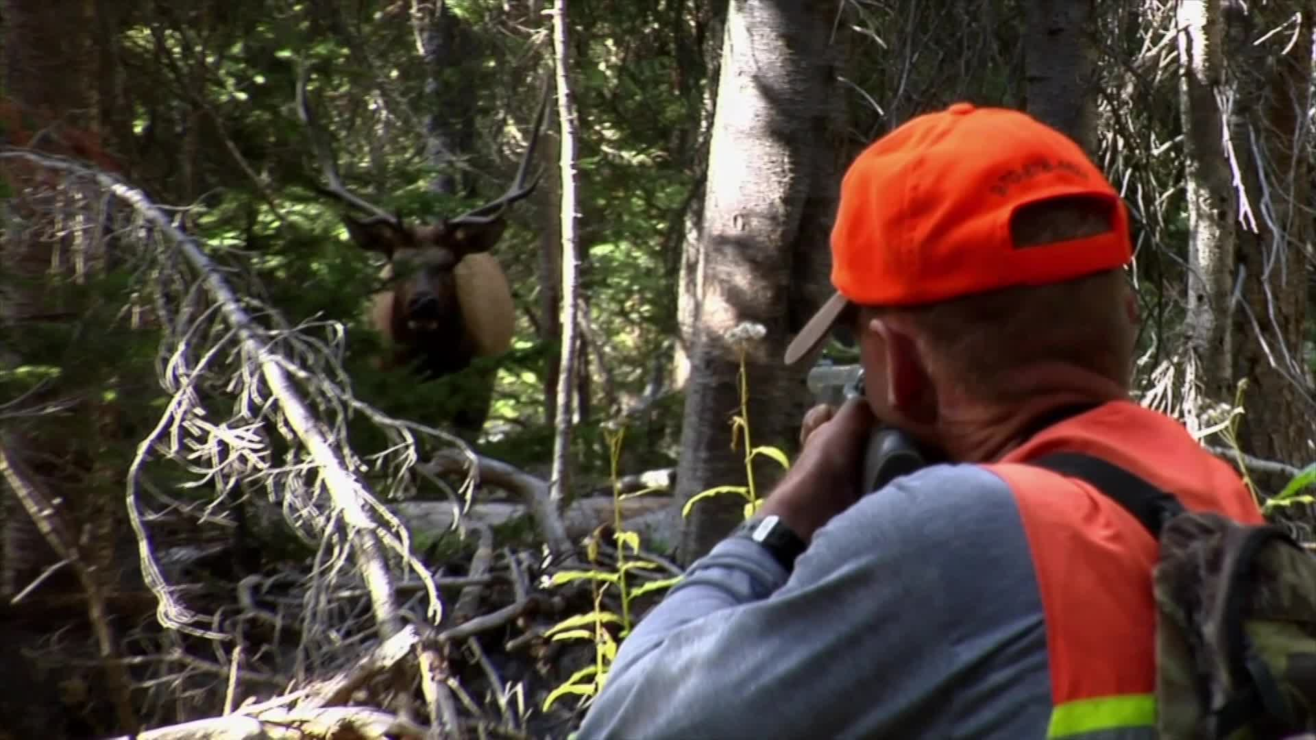 Thumbnail image for Colorado Parks & Wildlife - Outdoor Survival